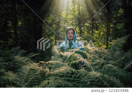 Person Hidden Among Lush Forest Ferns 121853986
