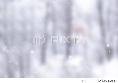 Snowy Winter Forest Scene With Gentle Falling Snowflakes in Nature 121854394