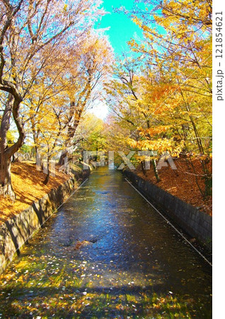 寒空の昭島市美堀橋から望む玉川上水 121854621