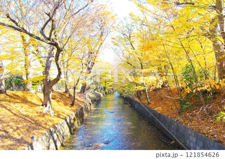 寒空の昭島市美堀橋から望む玉川上水 寒空の昭島市美堀橋から望む玉川上水 121854626