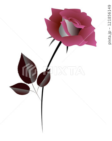 Rose, design element. Rose, design element. 121856149