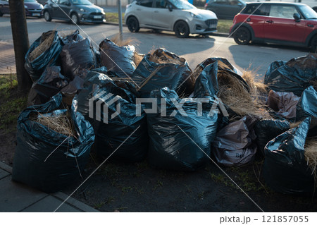 A pile of plastic garbage bags on the side of the road near a plastic container. Garbage bags on the street. Black trash bags. Concept of garbage collection, ecology, environmental cleaning 121857055