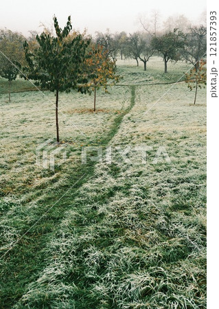 Frosty Morning Trail located in a beautiful Park offers a refreshing experience 121857393
