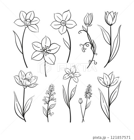 Abstract flowers, leaves, leaf, buds hand drawn vector sketch. ink line drawing. Wild flowers minimalist design. Black and white outline art. floral illustration 121857571