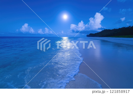 tropical beach on a clear moonlit night 121858917