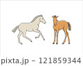 Two cute newborn foals, vector simple illustration 121859344