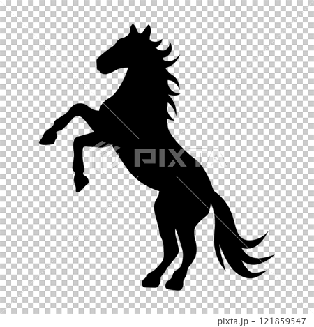 Silhouette of a horse raising its front legs Silhouette of a horse raising its front legs 121859547