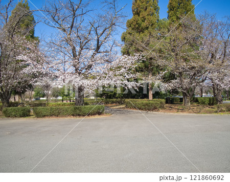 春の公園 春の公園 121860692