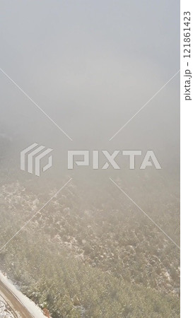 Winter foggy forest snow aerial view Winter foggy forest snow aerial view 121861423