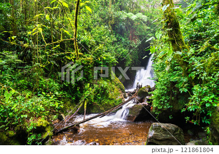 Waterfall on the Quindio River in the scenic Cocora Valley, Colombia 121861804