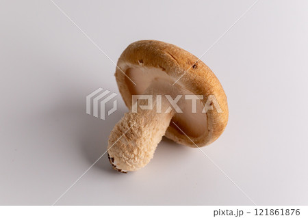 肉厚で柔らかく弾力ある新潟県産生しいたけ 121861876