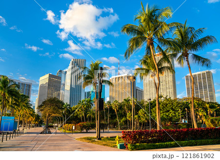 Skyscrapers of Downtown Miami seen from Bayfront Park, Florida, United States 121861902