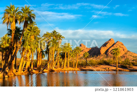 Palm Trees and Water Reflection at an Oasis Surrounded by Desert and Mountains in Papago Park, Phoenix, Arizona, United States 121861903