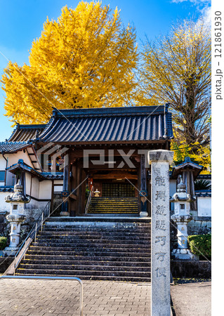 教宗寺の大イチョウの紅葉　【長崎市】 121861930
