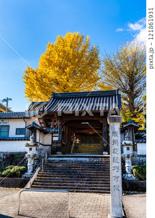 教宗寺の大イチョウの紅葉　【長崎市】 121861931