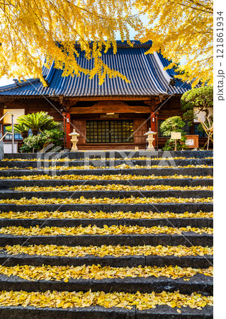 教宗寺の大イチョウの紅葉 【長崎市】 教宗寺の大イチョウの紅葉 【長崎市】 121861934