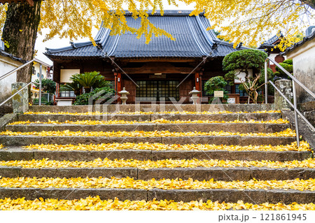 教宗寺の大イチョウの紅葉　【長崎市】 121861945