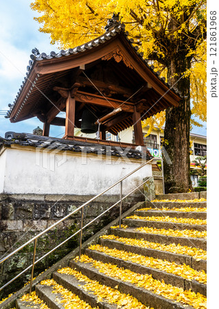 教宗寺の大イチョウの紅葉 【長崎市】 教宗寺の大イチョウの紅葉 【長崎市】 121861968