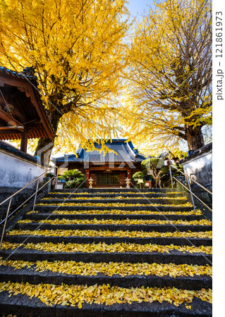 教宗寺の大イチョウの紅葉 【長崎市】 教宗寺の大イチョウの紅葉 【長崎市】 121861973