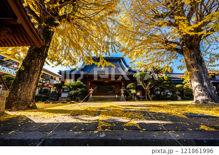教宗寺の大イチョウの紅葉 【長崎市】 教宗寺の大イチョウの紅葉 【長崎市】 121861996