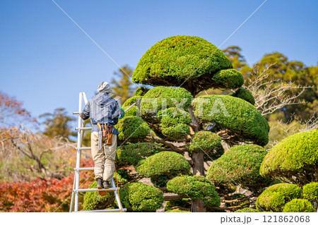 植木屋 造園 地下足袋 三脚脚立 高所作業 ヘッジトリマー 植木屋 造園 地下足袋 三脚脚立 高所作業 ヘッジトリマー 121862068