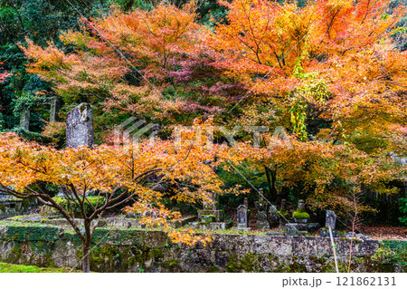 天祐寺の紅葉【長崎県諫早市】 121862131