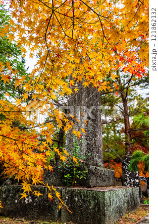 天祐寺の紅葉【長崎県諫早市】 121862132