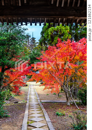 天祐寺の紅葉【長崎県諫早市】 121862134