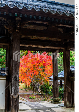 天祐寺の紅葉【長崎県諫早市】 天祐寺の紅葉【長崎県諫早市】 121862137