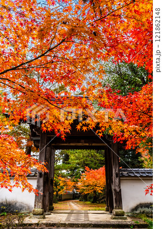 天祐寺の紅葉【長崎県諫早市】 121862148
