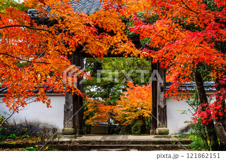 天祐寺の紅葉【長崎県諫早市】 天祐寺の紅葉【長崎県諫早市】 121862151