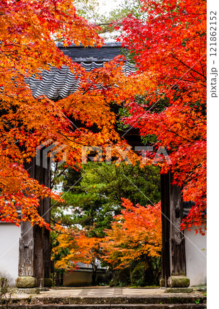 天祐寺の紅葉【長崎県諫早市】 天祐寺の紅葉【長崎県諫早市】 121862152