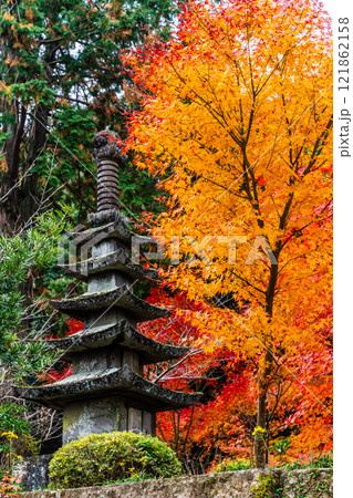 天祐寺の紅葉【長崎県諫早市】 天祐寺の紅葉【長崎県諫早市】 121862158