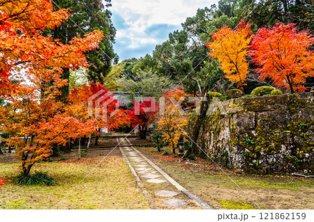 天祐寺の紅葉【長崎県諫早市】 天祐寺の紅葉【長崎県諫早市】 121862159