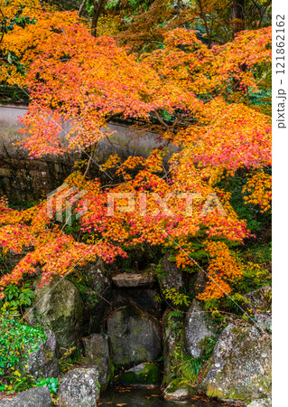 天祐寺の紅葉【長崎県諫早市】 121862162