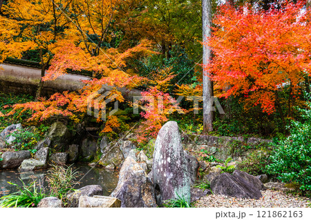 天祐寺の紅葉【長崎県諫早市】 天祐寺の紅葉【長崎県諫早市】 121862163