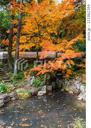 天祐寺の紅葉【長崎県諫早市】 121862164