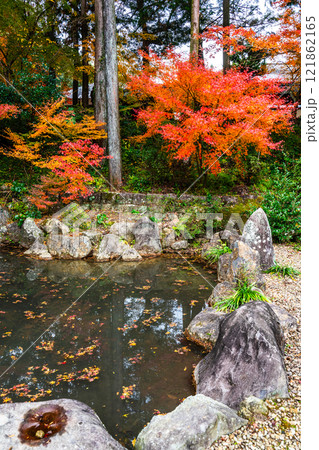天祐寺の紅葉【長崎県諫早市】 天祐寺の紅葉【長崎県諫早市】 121862165