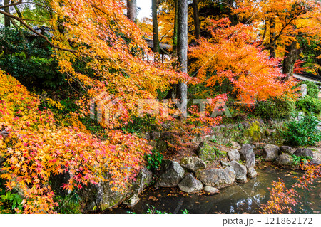 天祐寺の紅葉【長崎県諫早市】 121862172