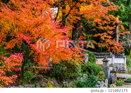天祐寺の紅葉【長崎県諫早市】 天祐寺の紅葉【長崎県諫早市】 121862175