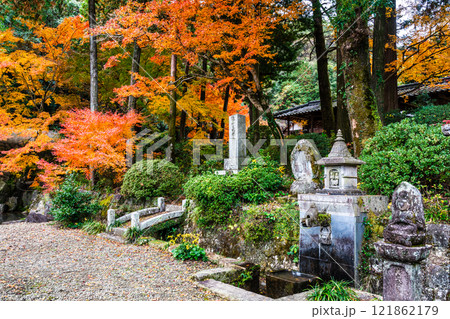 天祐寺の紅葉【長崎県諫早市】 天祐寺の紅葉【長崎県諫早市】 121862179