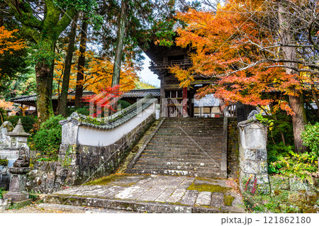 天祐寺の紅葉【長崎県諫早市】 121862180