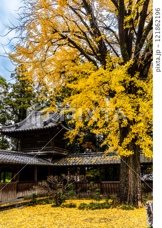 天祐寺の紅葉【長崎県諫早市】 121862196