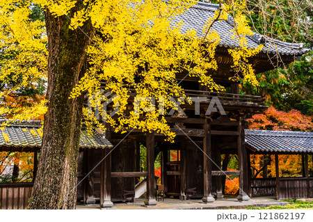 天祐寺の紅葉【長崎県諫早市】 121862197