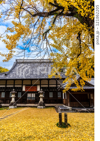天祐寺の紅葉【長崎県諫早市】 121862205