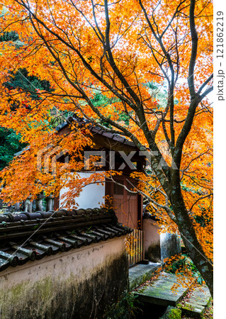天祐寺の紅葉【長崎県諫早市】 121862219