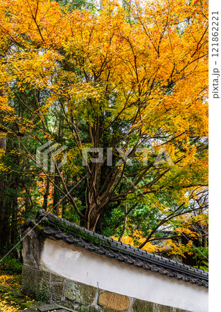 天祐寺の紅葉【長崎県諫早市】 121862221
