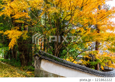 天祐寺の紅葉【長崎県諫早市】 121862222