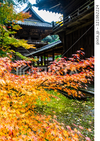 天祐寺の紅葉【長崎県諫早市】 121862224