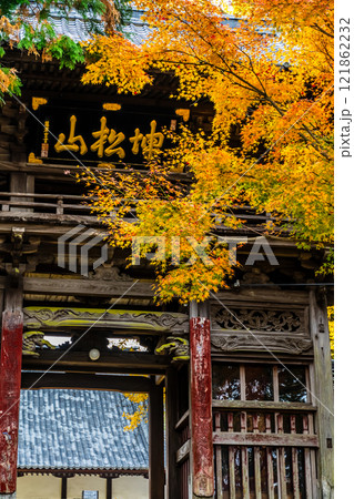 天祐寺の紅葉【長崎県諫早市】 121862232
